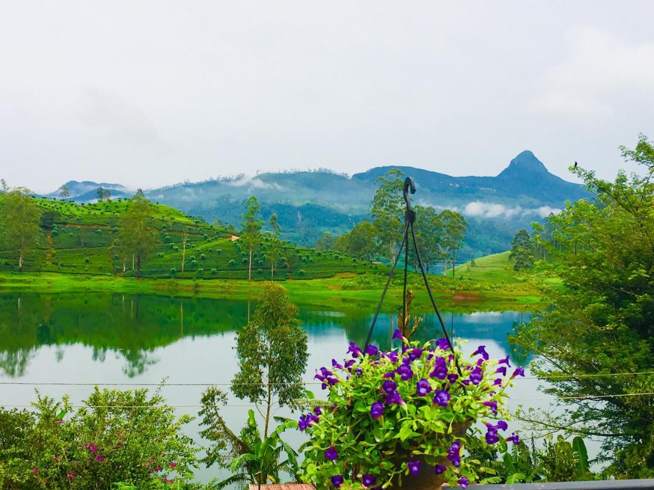 Maskeliya Butterfly Mountain Lake Side מראה חיצוני תמונה